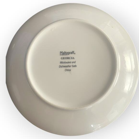 Lot of Two (2) dinner Plates Georgia by Pfaltzgraff 10 5/8 | euc | rare - Picture 3 of 3